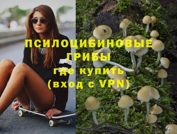 винт Армянск